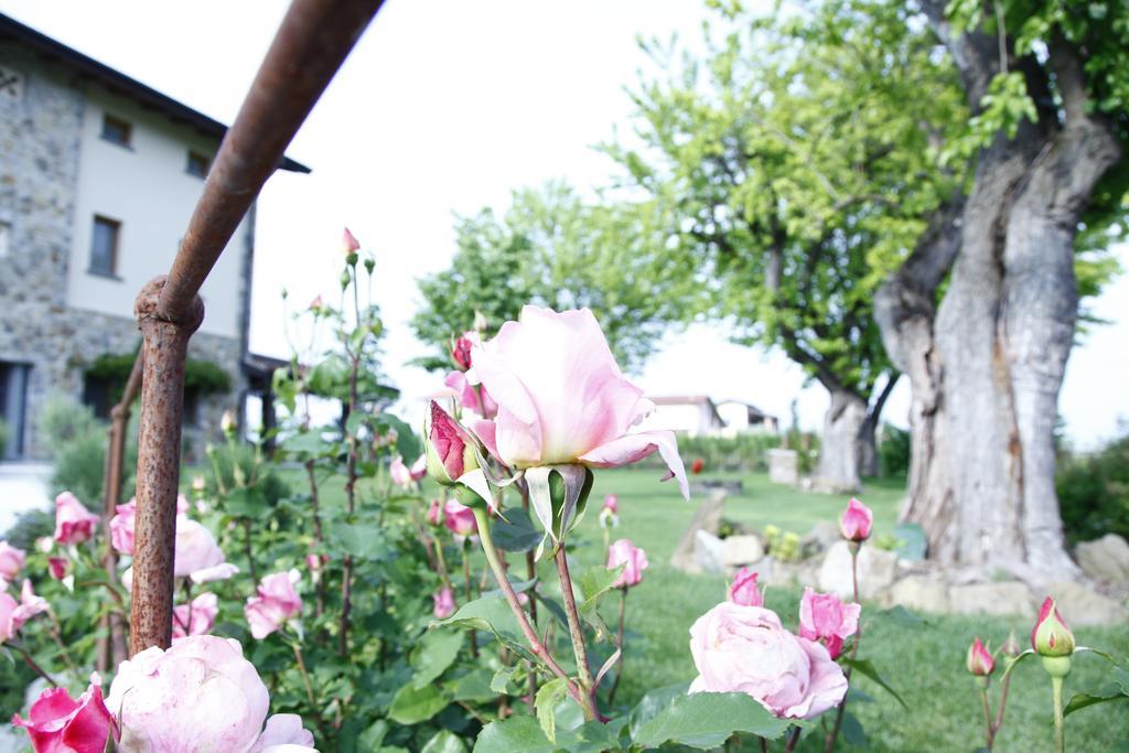 Massoni Bed And Breakfast Peschiera del Garda Luaran gambar