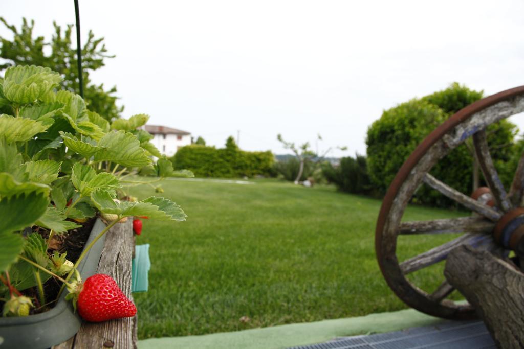 Massoni Bed And Breakfast Peschiera del Garda Luaran gambar